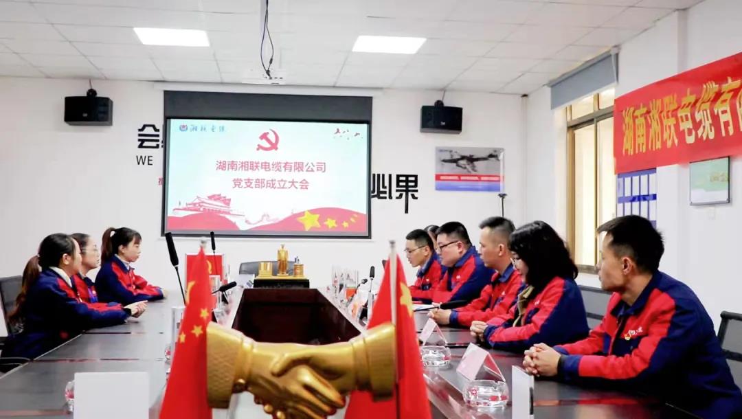 新征程 | 熱烈祝賀湖南湘聯(lián)電纜有限公司黨支部正式成立！