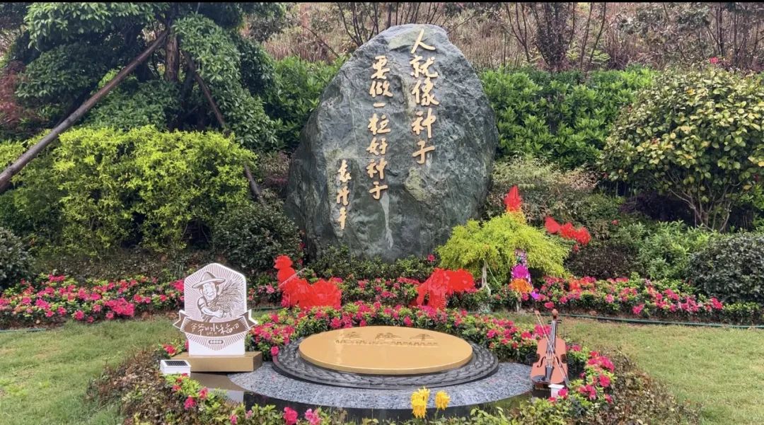 禾下乘涼夢，一稻一人生 我們永遠(yuǎn)懷念袁爺爺 #安全用電你我湘聯(lián)