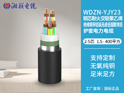 電纜接頭有哪些常見的故障類型？